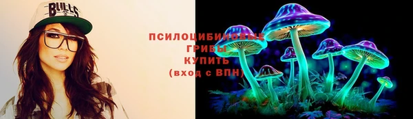 стаф Козельск
