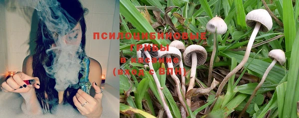 бутират Куйбышев
