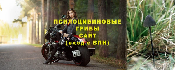 СК Краснослободск
