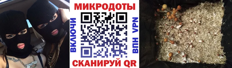 Галлюциногенные грибы Psilocybine cubensis  где продают наркотики  Майский 