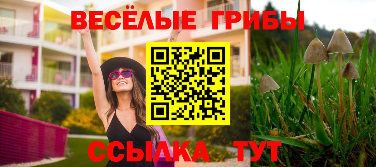 Галлюциногенные грибы Cubensis Майский